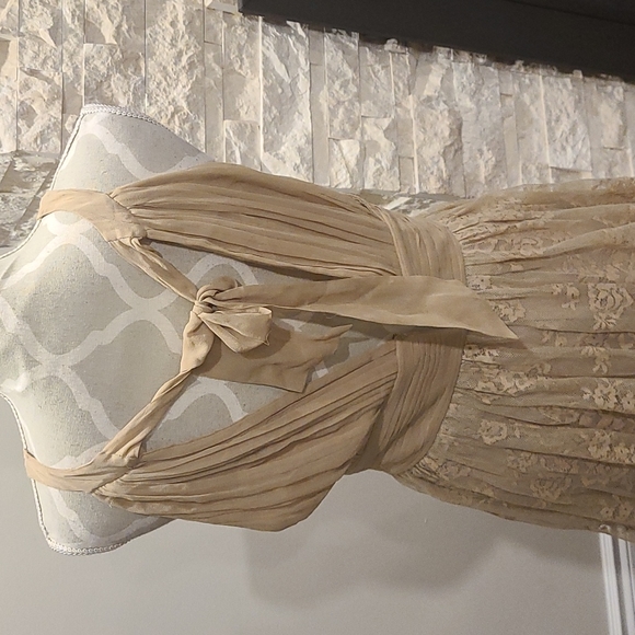 Zara silk blend lace sleeveless gown / dress - Picture 6 of 10